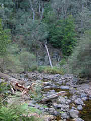 Sally Camp Creek